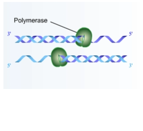 Training on toxicology screening explores how micro array chip technology and PCR techniques can add value to the screening process for medical staff.